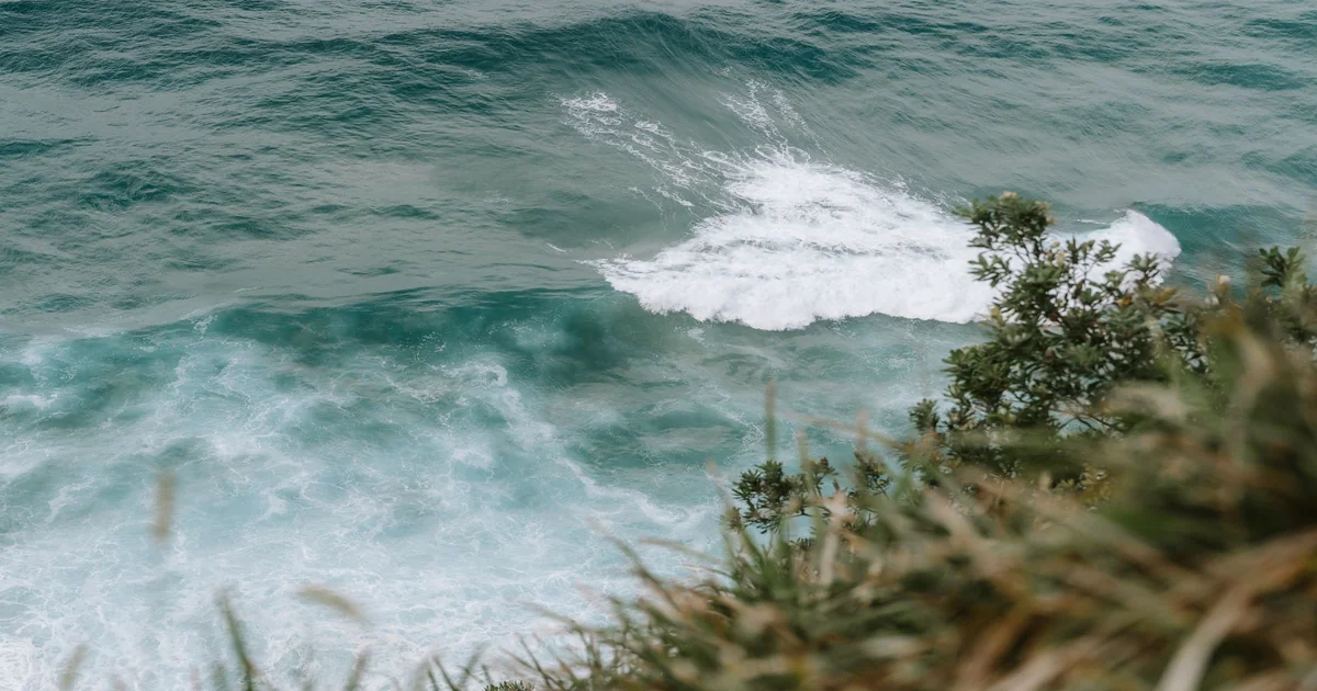 Byron Bay from Sydney: Budget Travel Guide