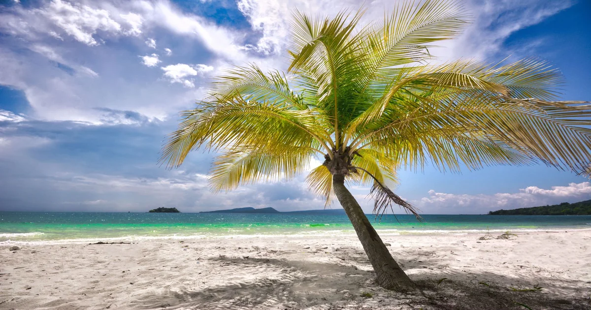 Health Tips for Tropical Climates in Australia