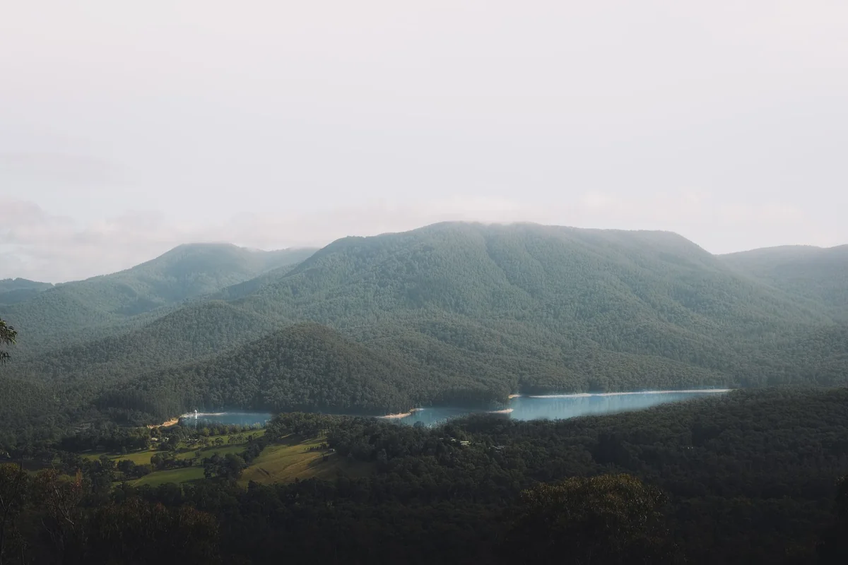 Hunter Valley Day Trip from Sydney: No Car Needed