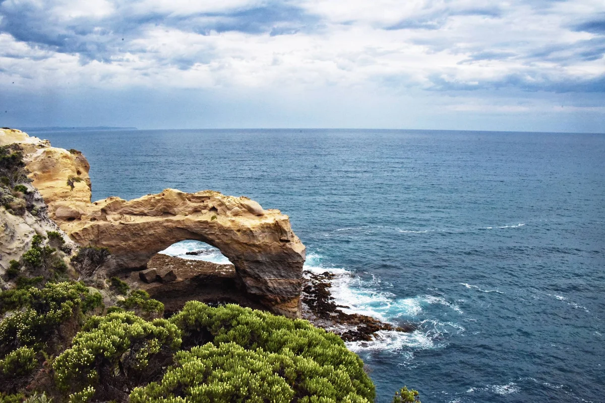 Jervis Bay Day Trip from Sydney: Beaches & Dolphins