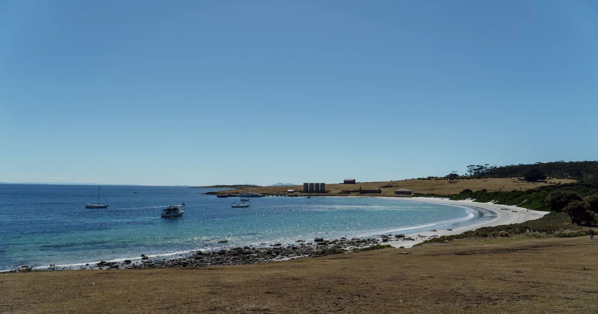 Jervis Bay Day Trip from Sydney: Beaches & Dolphins