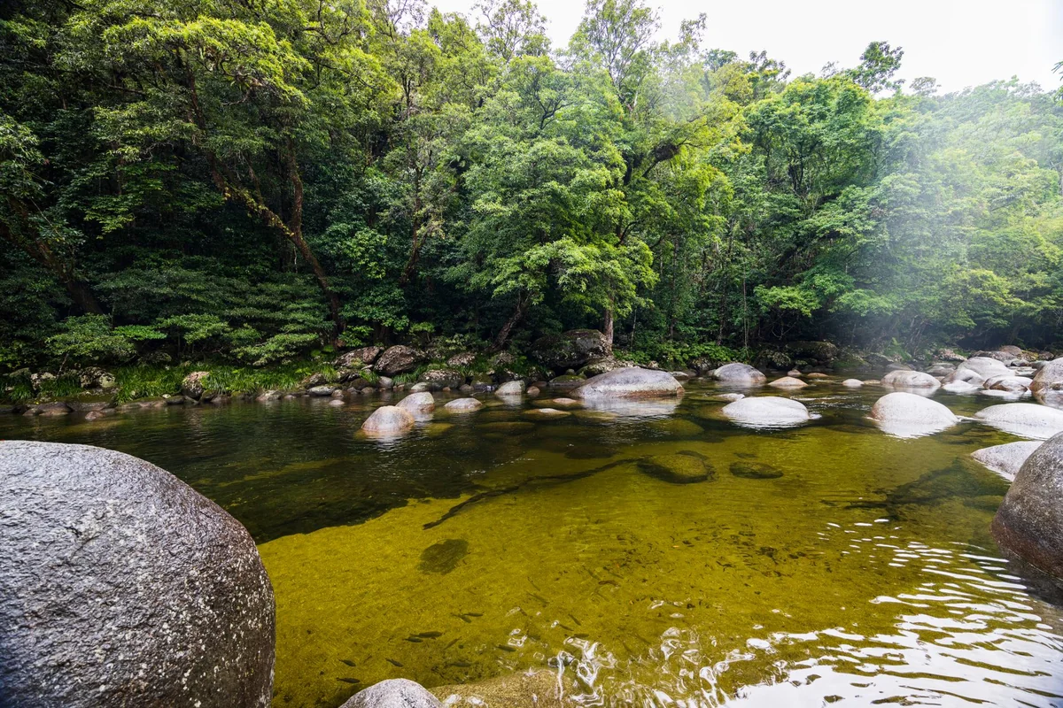 Kakadu National Park: Cost & How to Visit from Darwin