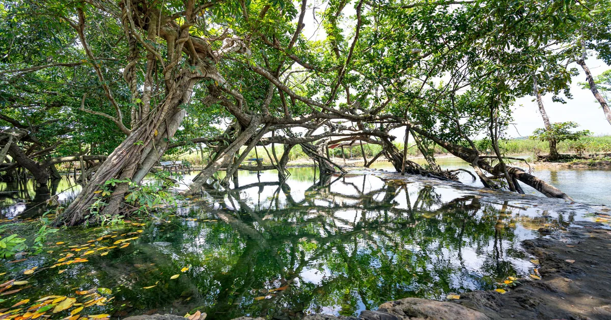 Kakadu National Park: Cost & How to Visit from Darwin