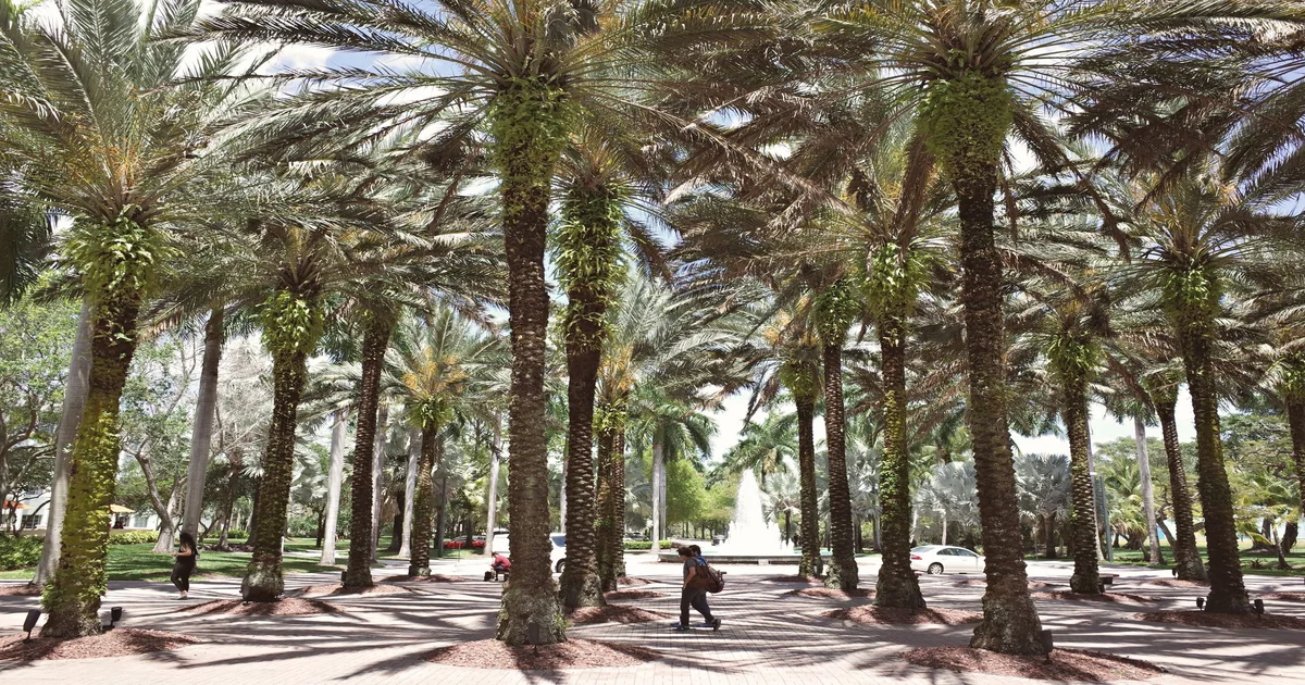 Managing Tropical Heat on a Student Visa in Australia