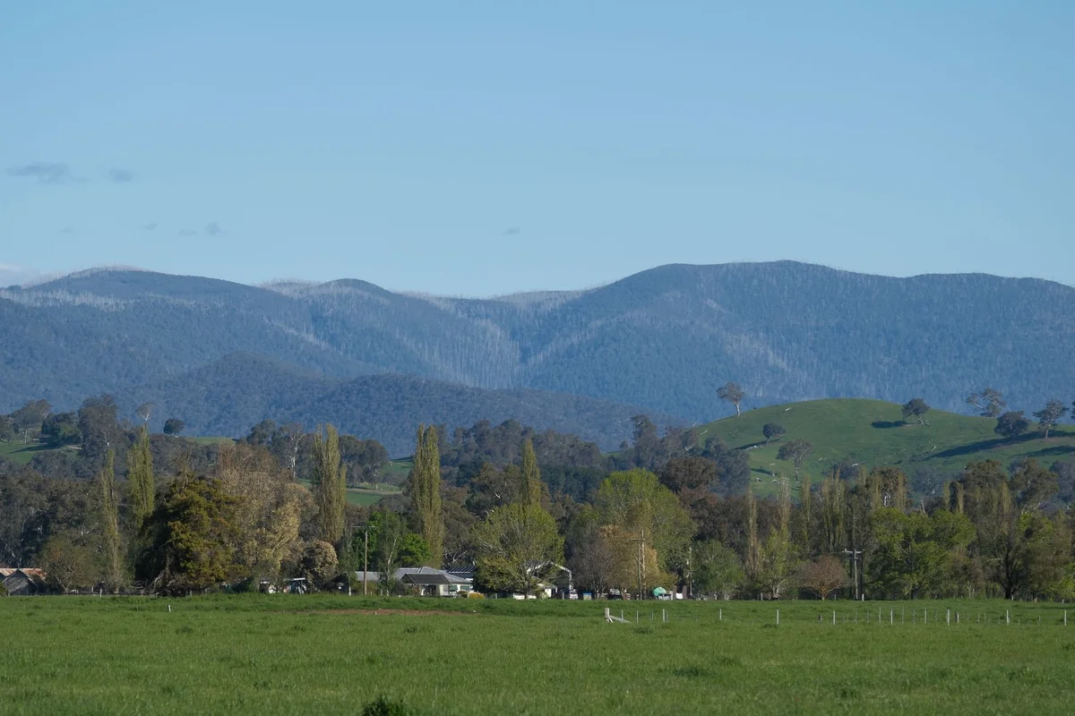 Snowy Mountains Day Trip from Sydney: Budget Guide
