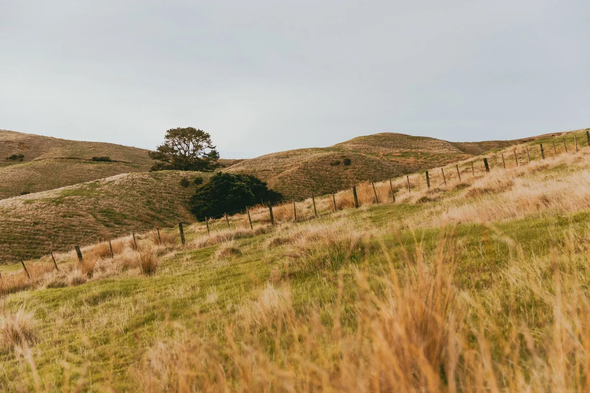 Southern Highlands Day Trip from Sydney: Real Costs
